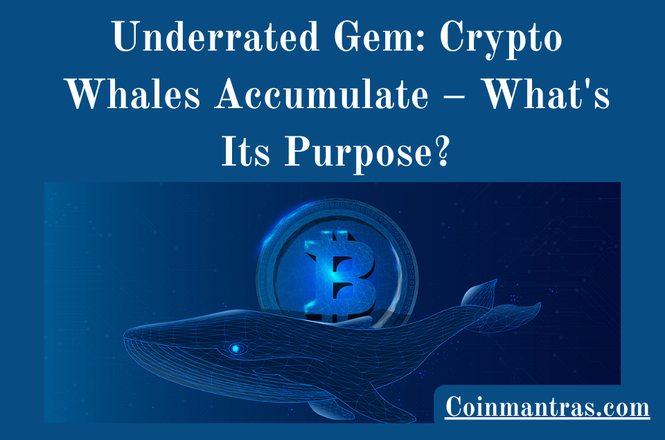 Underrated Gem: Crypto Whales Accumulate – What's Its Purpose?