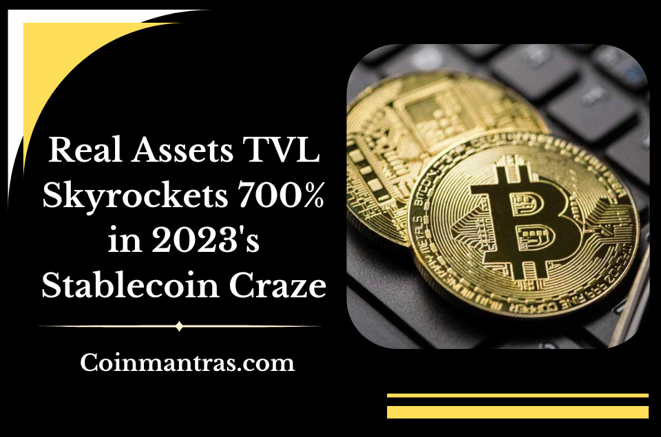 Real Assets TVL Skyrockets 700% in 2023's Stablecoin Craze